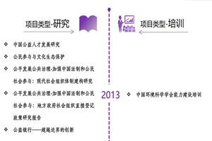 超级大jb攻略系统非评估类项目发展历程